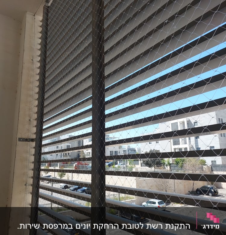 רשת נגד יונים מותקנת על חלון עם תריסים